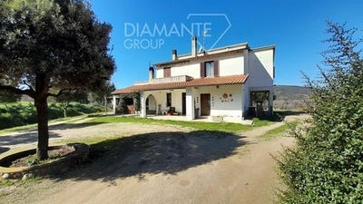 /international/it/cinigiano-tuscany-310109049717/