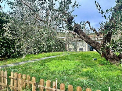 /international/it/grosseto-tuscany-310108324358/