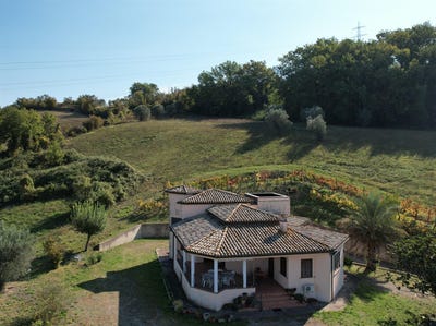/international/it/alviano-umbria-310103060586/
