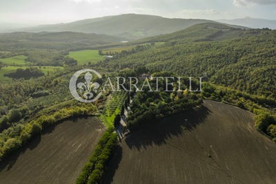 /international/it/montepulciano-tuscany-310103349986/