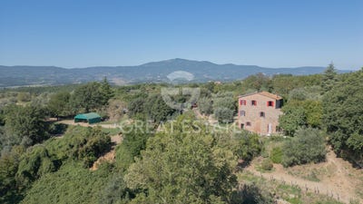 /international/it/citta-della-pieve-umbria-310105170356/