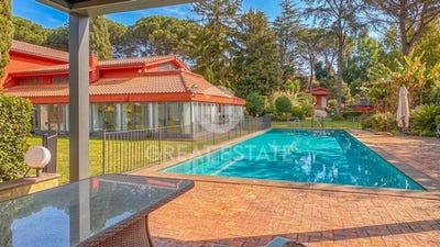 /international/it/sacrofano-emilia-romagna-310106879085/