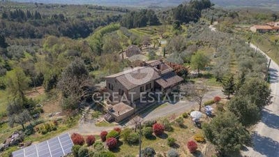/international/it/citta-della-pieve-umbria-310107299095/