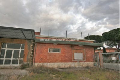 /international/it/torrita-di-siena-tuscany-310105948260/
