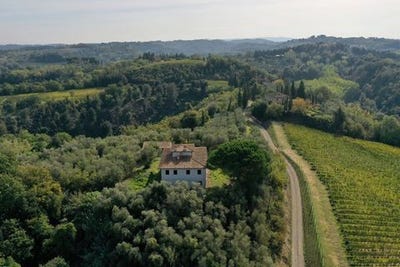/international/it/palaia-tuscany-310101629721/