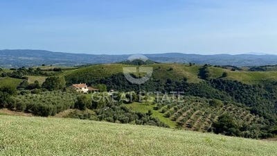 /international/it/campagnatico-tuscany-310105348004/