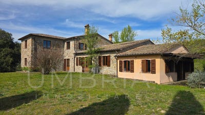 /international/it/ficulle-umbria-310107414892/