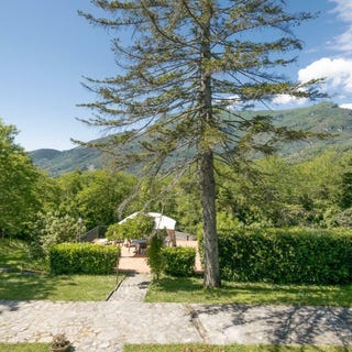 /international/it/camaiore-tuscany-310107294149/