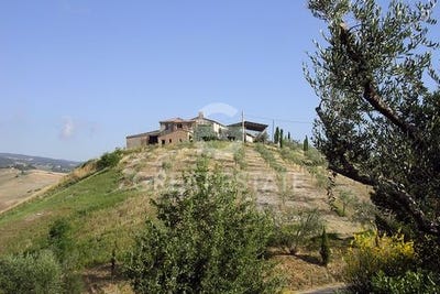 /international/it/allerona-umbria-120086641839/