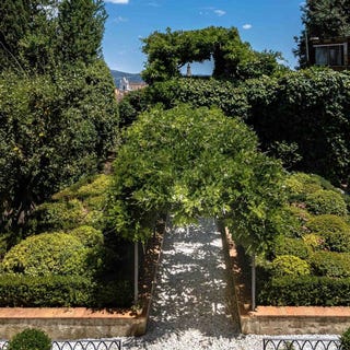 /international/it/florence-tuscany-310108407358/