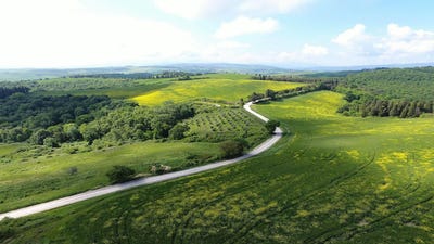 /international/it/pienza-tuscany-310106797975/