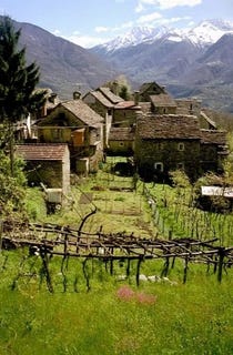 /international/it/piedmont-piedmont-310109566003/