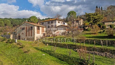 /international/it/colle-di-val-d-elsa-tuscany-310098722480/