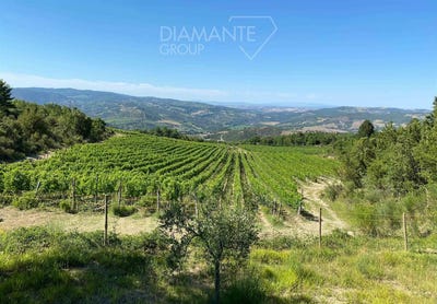 /international/it/seggiano-tuscany-310103413106/