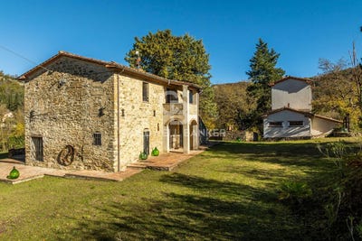 /international/it/montone-umbria-310105300474/