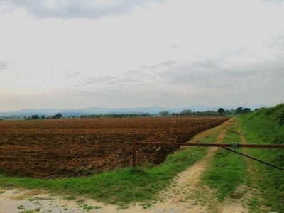 /international/it/siena-tuscany-310108323911/