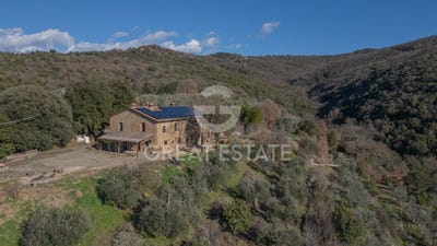 /international/it/citta-della-pieve-umbria-310106447879/