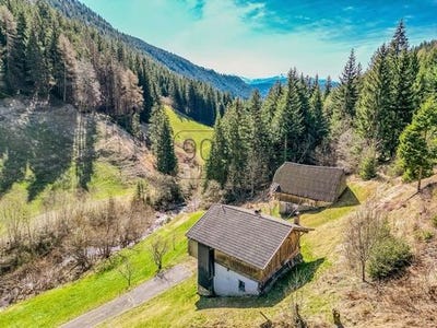 /international/it/die-adresse-erhalten-sie-vom-anbieter-jenesien-province-of-trento-310109205212/