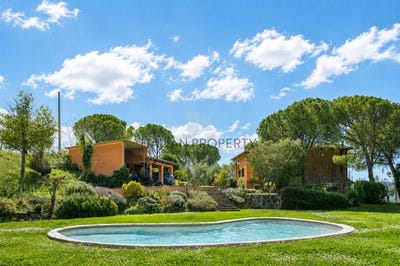/international/it/spina-umbria-310106826995/