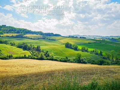 /international/it/terre-roveresche-marche-310103017811/?lang=de