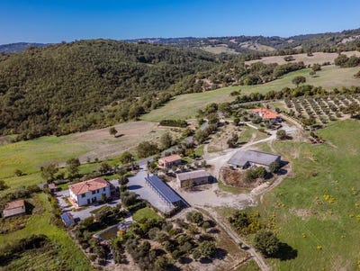 /international/it/scansano-scansano-tuscany-310102833740/