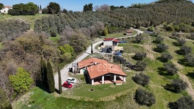 /international/it/cinigiano-tuscany-310107473292/