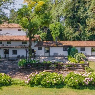 /international/it/montone-umbria-310107744542/