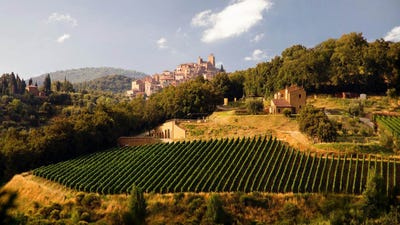 /international/it/trequanda-tuscany-310106236269/