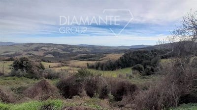 /international/it/pomarance-tuscany-310108087378/