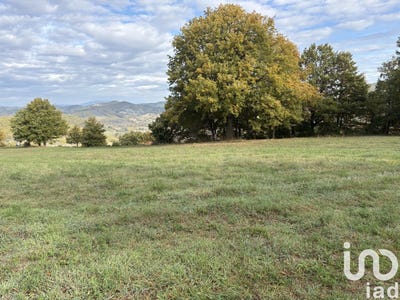 /international/it/localita-pian-della-serra-apecchio-marche-310103093592/