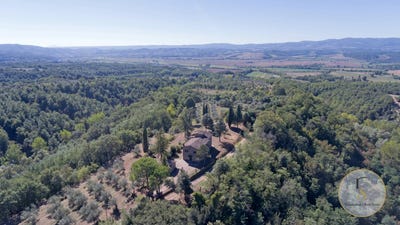 /international/it/citta-della-pieve-umbria-310109177092/