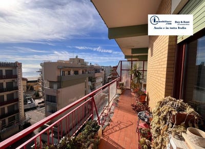 /international/it/nettuno-lazio-310106606915/