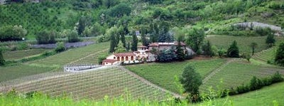 /international/it/cremolino-piedmont-310101629886/