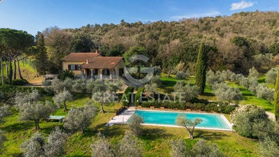 /international/it/monte-san-savino-tuscany-310107625763/