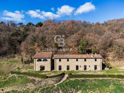 /international/it/citta-di-castello-umbria-310106284150/