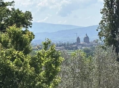 /international/it/assisi-santuario-umbria-310101486409/?lang=fr