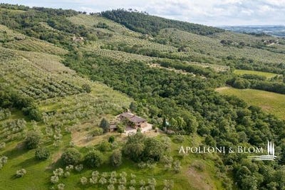 /international/it/vocabolo-buttinale-paciano-umbria-310105431554/