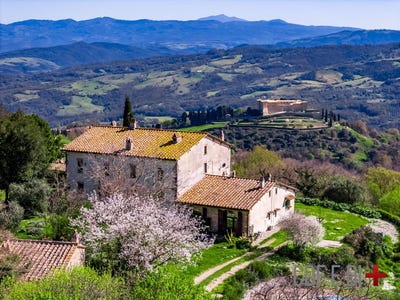 /international/it/scansano-tuscany-310101087510/?lang=it