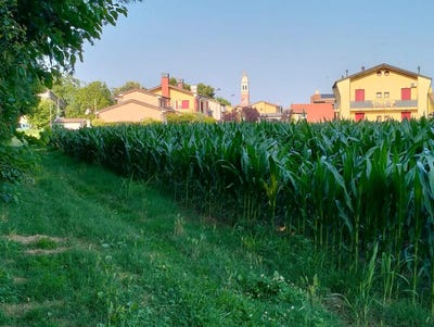 /international/it/trebaseleghe-35010-veneto-veneto-310101412555/?lang=en