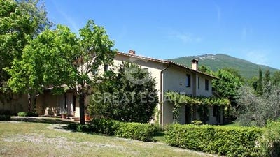 /international/it/cetona-tuscany-310105791964/