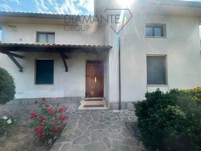 /international/it/castiglione-del-lago-umbria-310108566251/