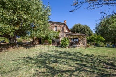 /international/it/citta-della-pieve-umbria-310100406928/