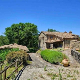 /international/it/montone-umbria-310109576163/