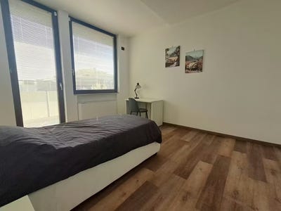 /international/it/via-luigi-pellizzo-padova-veneto-310108085275/