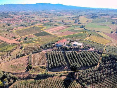 /international/it/cerreto-guidi-tuscany-310107185322/