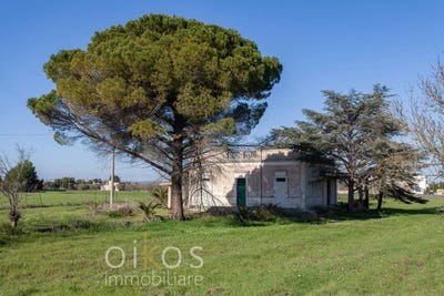 /international/it/francavilla-fontana-apulia-310097123588/