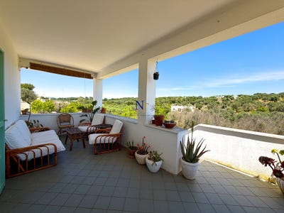 /international/it/contrada-lorizzo-ostuni-apulia-310108642752/