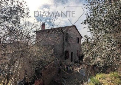 /international/it/citta-della-pieve-umbria-310107473135/