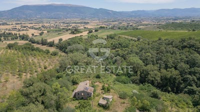 /international/it/cannara-umbria-310101336188/?lang=zh-cn