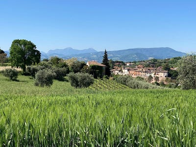 /international/it/colli-al-metauro-pesaro-urbino-310099621642/